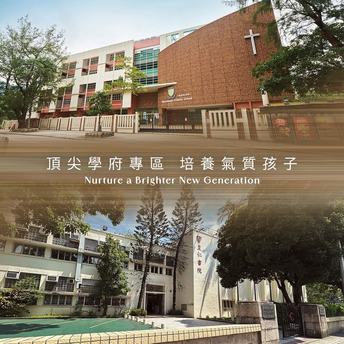 ONE VICTORIA COVE 35校網 名校雲集 教育配套