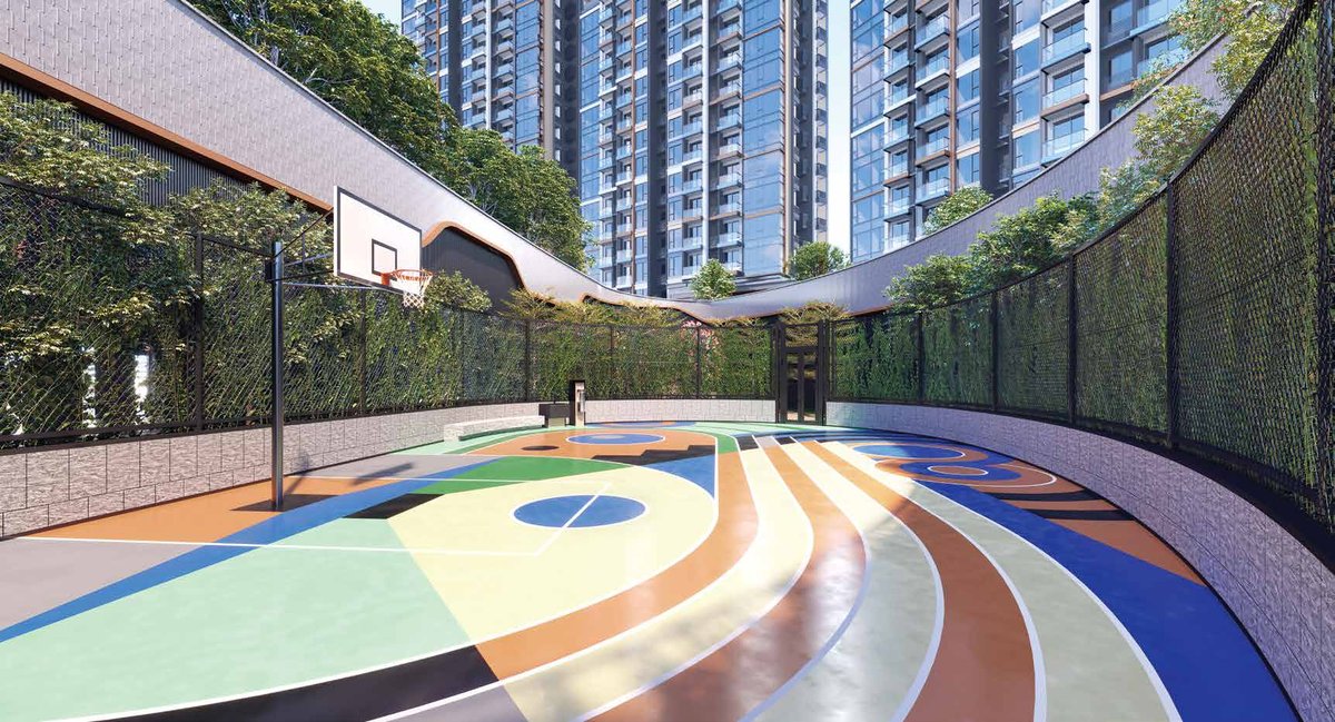 The Baller 射籃高手