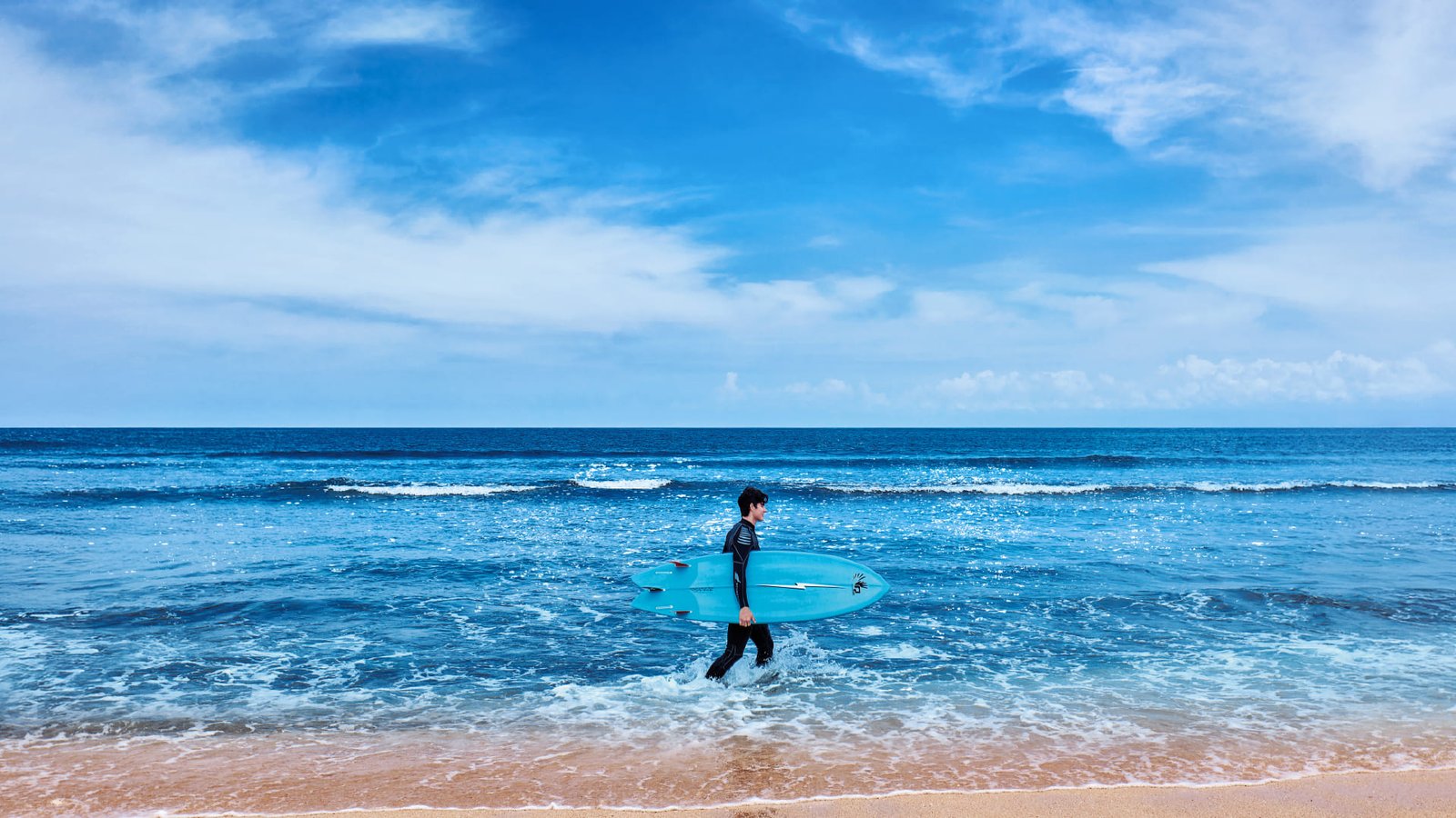 SIERRA SEA 項目外觀