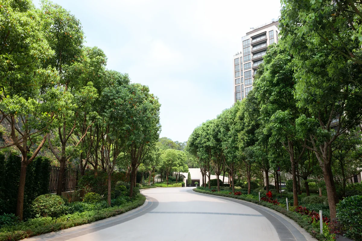 THE MONET 九龍塘 林蔭車道